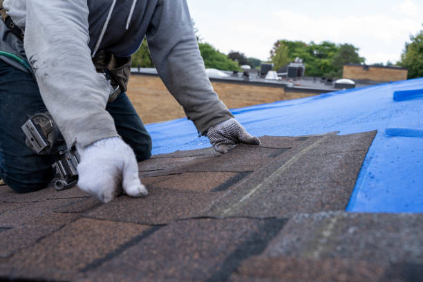 Best Sealant for Roof  in North Fair Oaks, CA